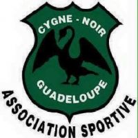 Logo club CYGNE NOIR